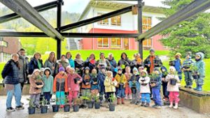 Kindergarten in Bad Herrenalb: Jedes Kind bekommt seinen Weihnachtsbaum